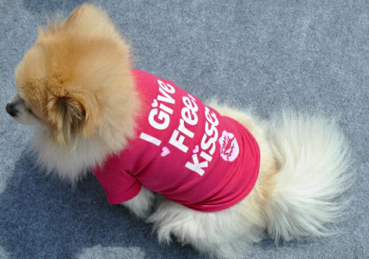 楽天市場】送料無料 犬服 犬の服 ドッグウェア 犬用ウェア 犬用シャツ Tシャツ 洋服 ペット用 超小型犬用 小型犬用 中型犬用 イヌ用 ワンちゃん用 DOG 可愛い お散歩 お出掛け ロゴプリント : Plus Nao 楽天市場】送料無料 犬服 犬の服 ドッグウェア 犬用ウェア 犬用シャツ Tシャツ 洋服 ペット用 超小型犬用 小型犬用 中型犬用 イヌ用 ワンちゃん用 DOG 可愛い お散歩 お出掛け ロゴプリント : Plus Nao
