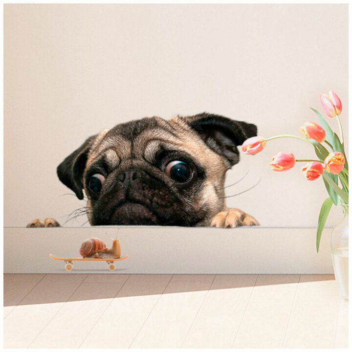 楽天市場 送料無料 ウォールステッカー 壁紙シール 取り外し可能 イベント インテリア オシャレ 室内装飾 ブルドック 犬 カタツムリ かたつむり Plus Nao