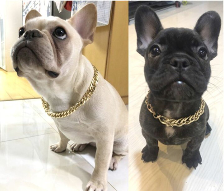 楽天市場 送料無料 チェーンネックレス ペット用 犬用 猫用 ペンダント チョーカー アクセサリー ワイルド チョイ悪 カッコイイ ファッション小物 かっこいい シンプル シルバーカラー ゴールドカラー イカツイ いかつい 小型犬 イヌ用 いぬ用 ネコ用 ねこ用 Plus Nao