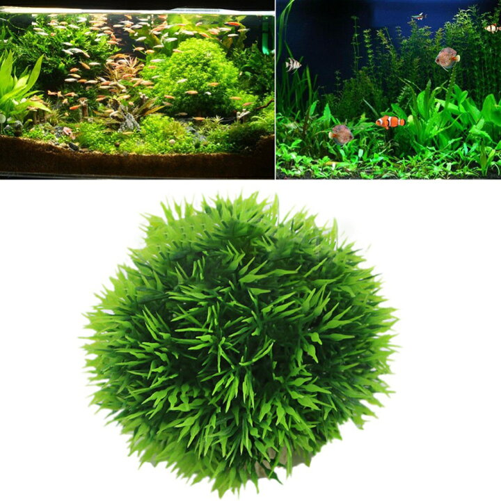 楽天市場 送料無料 水草 人工水草 プラスチック製 水槽用水草 丸 丸い 円形 球 アクアリウム 水槽レイアウト 装飾品 飾り 水中オブジェ 水中アクセサリー 水槽オーナメント グリーン 緑 レッド 赤 大サイズ 小サイズ 造景 リアル きれい おしゃれ 熱帯魚 Plus Nao