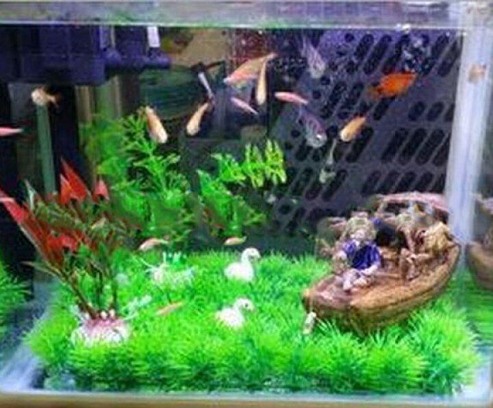 送料無料 水槽用オーナメント 和調 松の木 アクアリウム 水中 和風 水槽用オブジェ 内装 装飾 送料無料 水槽用オーナメント 和調 松の木 アクアリウム 水中 和風 水槽用オブジェ 内装 装飾