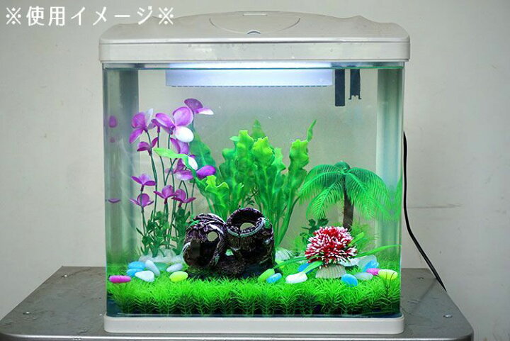 楽天市場 送料無料 水槽用オブジェ 樽 タル 隠れ家 棲み家 バレル 人工オブジェ 水槽用レイアウト アクアリウムデコレーション 水槽内インテリア アクセサリー オーナメント 水槽用品 レイアウト用品 装飾グッズ 内装 観賞魚 熱帯魚 メダカ 金魚 ペット用品 Plus Nao