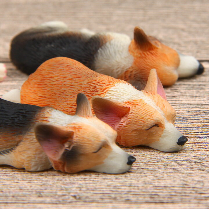 楽天市場 送料無料 マグネット コーギー 犬 いぬ イヌ ワンちゃん わんちゃん 動物 可愛い かわいい 面白い ユニーク おもしろ 雑貨 リアル 個性的 おもしろ雑貨 動物マグネット アニマルマグネット Plus Nao