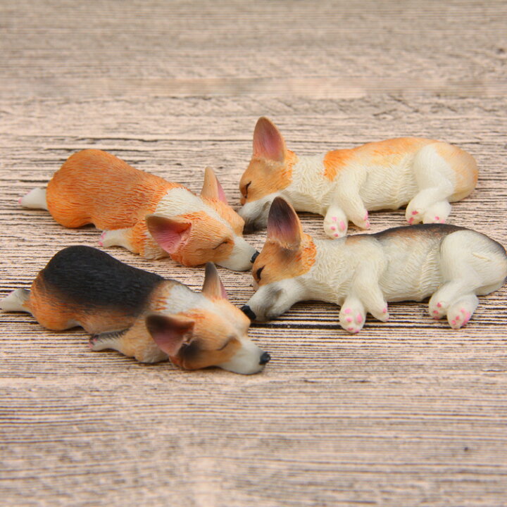 楽天市場 送料無料 マグネット コーギー 犬 いぬ イヌ ワンちゃん わんちゃん 動物 可愛い かわいい 面白い ユニーク おもしろ 雑貨 リアル 個性的 おもしろ雑貨 動物マグネット アニマルマグネット Plus Nao