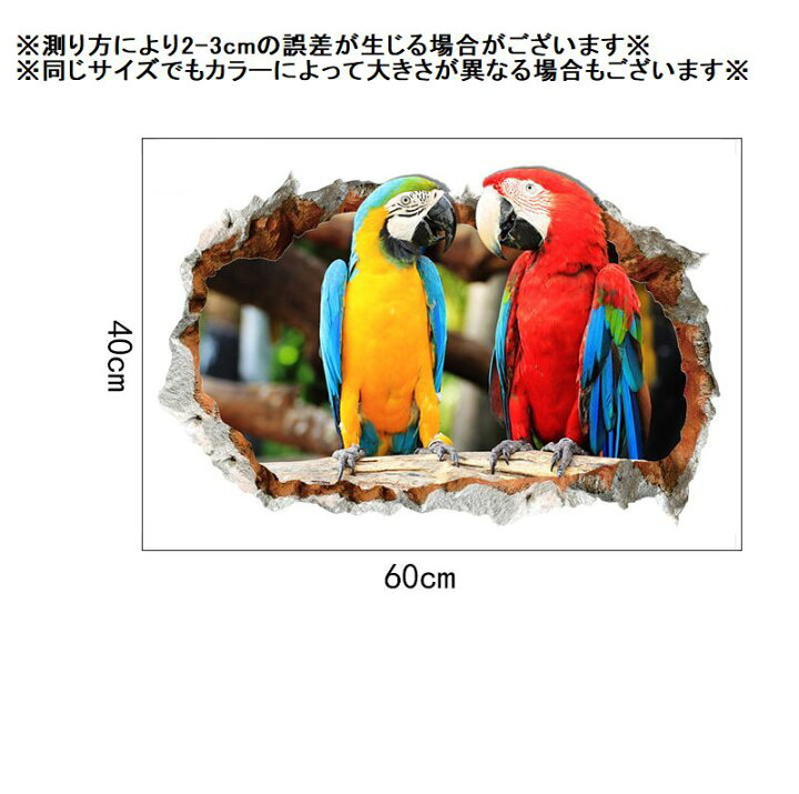 楽天市場 送料無料 ウォールステッカー インテリア 壁紙 模様替え シール ステッカー イラスト オウム 鳥 部屋 おしゃれ Diy リメイク かわいい キッチン リビング 簡単 Plus Nao