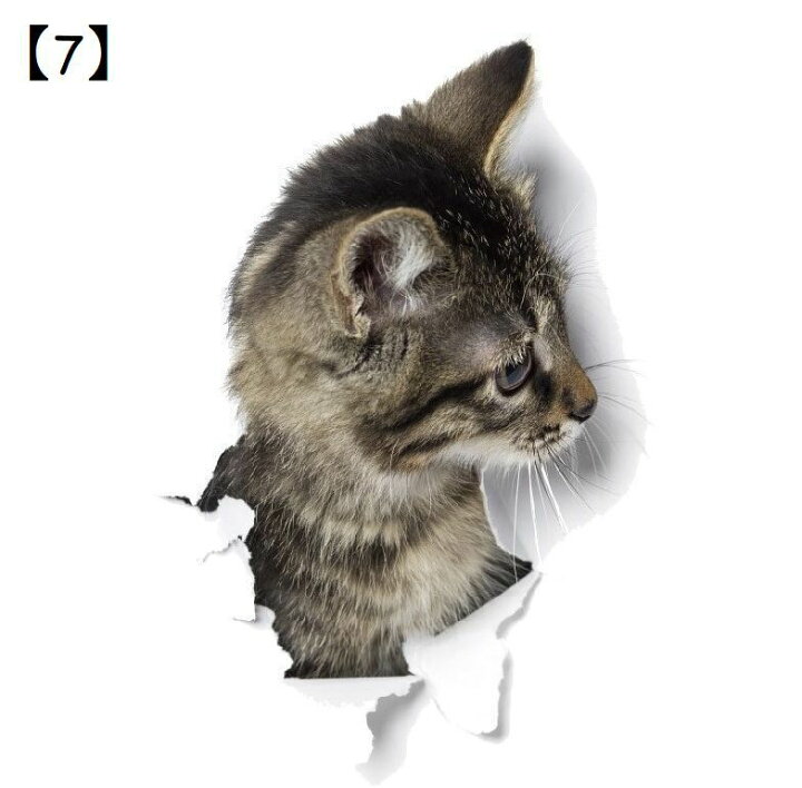 60円 大人気 3D猫のウォールステッカー 面白くてかわいい動物のデカール 家の装飾アートステッカー 3D猫と犬のデカール