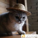 ペット用品 猫ハット 帽子 麦わら帽子 かぶりもの ネコ コスプレ CAT イヌ 犬 紫外線対策 ねこ おもちゃ 玩具 雑貨 グッズ 個性的 可愛い かわいい ...