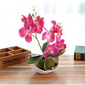 楽天市場 鉢 サイズ 測り方 造花 人工観葉植物 花 観葉植物 花 ガーデン Diyの通販