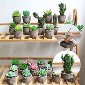 元の観葉植物 鉢 サイズ 測り方 すべての美しい花の画像