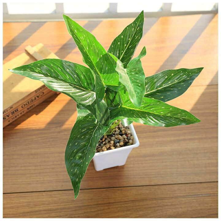 楽天市場 送料無料 人工観葉植物 フェイクグリーン 造花 鉢植え インテリア 装飾 窓際 リビング ガーデン かわいい おしゃれ 贈り物 プレゼント Plus Nao 楽天市場 送料無料 人工観葉植物 フェイクグリーン 造花 鉢植え インテリア 装飾 窓際 リビング ガーデン かわいい おしゃれ 贈り物 プレゼント Plus Nao