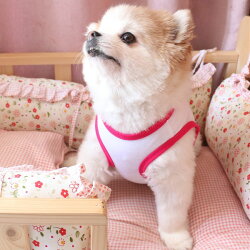 楽天市場 送料無料 ペット用 犬用 洋服 ドッグウエア タンクトップ プルオーバー ノースリーブ イラスト ユニーク 水着 マッスル 筋肉 面白い 面白イラスト バイピング ベスト 袖なし ドッグウェア かわいい おしゃれ 犬服 春夏秋 小型犬 中型犬 Xs S Plus Nao