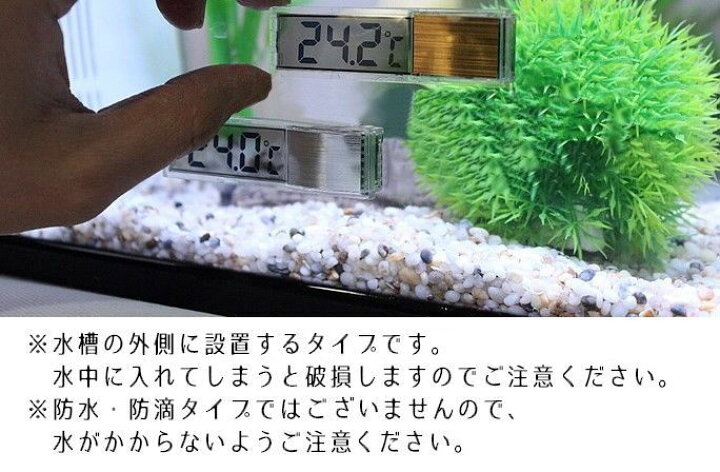楽天市場 送料無料 デジタル水温計 アクアリウム水温計 水槽の外側に設置 透過液晶 コードレスタイプ 温度管理 デジタル表示 おしゃれ スタイリッシュ アクアリウムグッズ 観賞魚 熱帯魚 メダカ 金魚 ペット用品 Plus Nao
