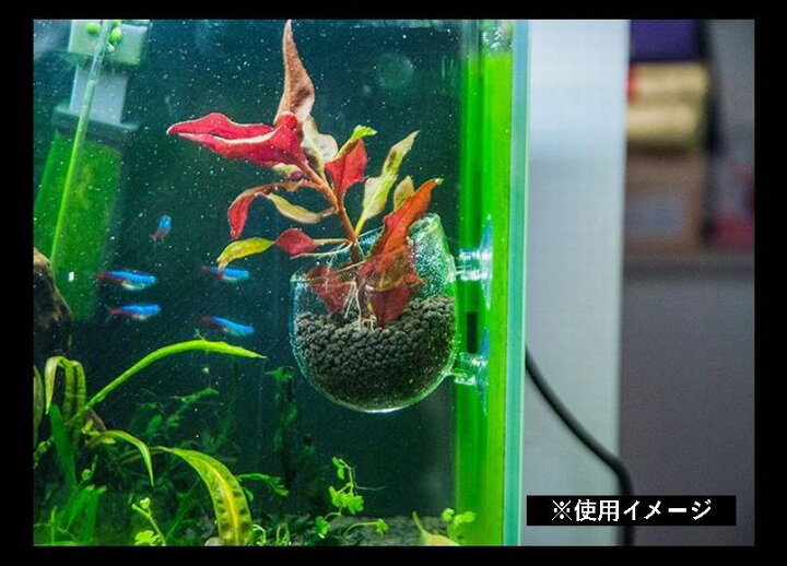 楽天市場 送料無料 ミニポット カップ ミニ ホルダー 装飾 植栽 水生植物 熱帯魚 メダカ 金魚 水槽レイアウト アクアリウムグッズ 水槽用品 レイアウト用品 装飾 ペット用品 Plus Nao