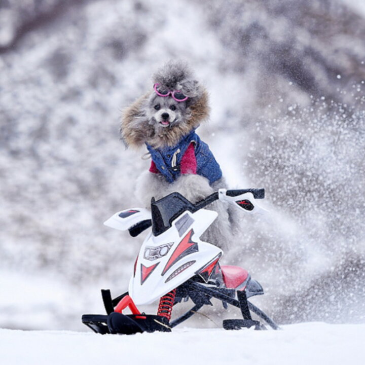 ネッククッション リアル ダイカット ハスキー プリント メガネをかけた犬の顔 爆売り メガネをかけた犬の顔