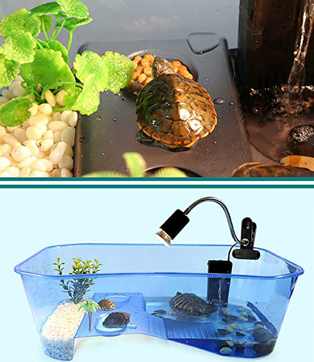楽天市場 送料無料 カメの水槽 水槽 飼育ケース 爬虫類ケース 40cm 小サイズ 飼育 観察 カメ ミドリガメ 亀 タートル 甲羅干し エサ入れ 多目的 飼育ケース ペットグッズ Plus Nao