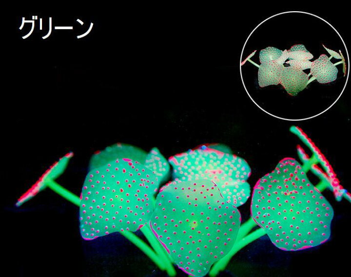 18 Off 水槽用アクセサリー 人工サンゴ 光る 蛍光 フェイク サンゴ 珊瑚 熱帯魚 観賞魚 金魚 アクアリウム アクアリウム用品 オブジェ オーナメント 水槽 Shipsctc Org
