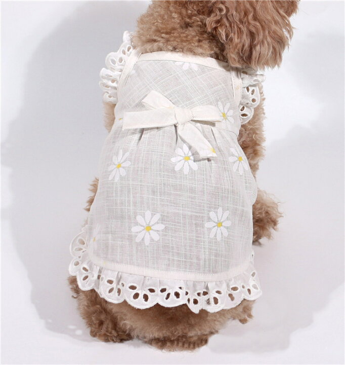 楽天市場】送料無料 ドッグウェア キャットウェア 犬 猫 犬服 猫服 犬用ウェア 猫用ウェア 犬の服 猫の服 ペットウェア ペット服 ペット用品 キャミソール ワンピース ノースリーブ 袖なし 洋服 フラワープリント リボン レース ガーリー 春夏 お散歩 お出か : Plus Nao 楽天市場】送料無料 ドッグウェア キャットウェア 犬 猫 犬服 猫服 犬用ウェア 猫用ウェア 犬の服 猫の服 ペットウェア ペット服 ペット用品 キャミソール ワンピース ノースリーブ 袖なし 洋服 フラワープリント リボン レース ガーリー 春夏 お散歩 お出か : Plus Nao