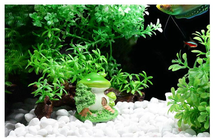 楽天市場 送料無料 水槽用模型 オブジェ 熱帯魚 魚 アクアリウム 装飾 置物 飾り オーナメント キノコ サボテン 家 カメ おしゃれ かわいい Plus Nao 楽天市場 送料無料 水槽用模型 オブジェ 熱帯魚 魚 アクアリウム 装飾 置物 飾り オーナメント キノコ サボテン 家 カメ おしゃれ かわいい Plus Nao