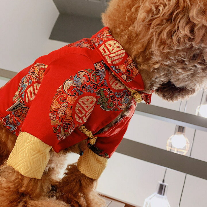 市場 あす楽 犬服 ドッグウェア 送料無料 恐竜 ペットコスチューム