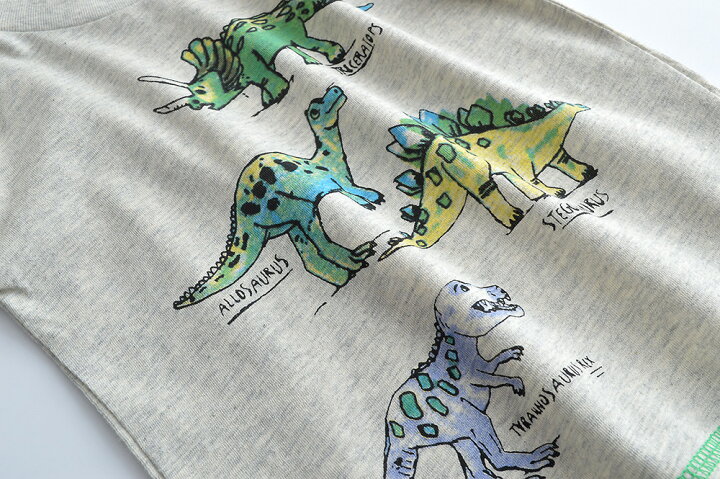 楽天市場 送料無料 Tシャツ 長袖 カットソー 子供 キッズ 男の子 子供服 トップス ラウンドネック 恐竜 ダイナソー 水彩タッチ イラスト入り プリント入り シンプル ゆったり 定番 かわいい かっこいい 着回し おしゃれ お出かけ 遊び 運動 スポーツ 部屋 Plus Nao