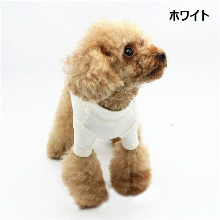 楽天市場】送料無料 ドッグウェア ペットウェア カットソー 犬の服 犬服 猫の服 洋服 ペット用品 小型犬 ハイネック スタンドカラー 無地 シンプル お散歩 お出かけ おしゃれ かわいい いぬ ねこ : Plus Nao 楽天市場】送料無料 ドッグウェア ペットウェア カットソー 犬の服 犬服 猫の服 洋服 ペット用品 小型犬 ハイネック スタンドカラー 無地 シンプル お散歩 お出かけ おしゃれ かわいい いぬ ねこ : Plus Nao
