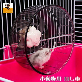 楽天市場 ハムスター 回し車の通販