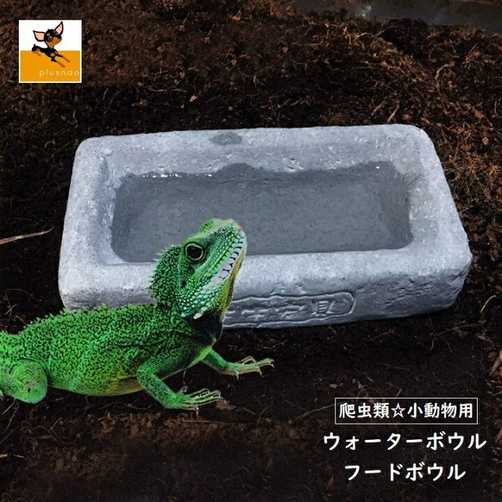 楽天市場】送料無料 ペット食器 エサ皿 ウォーターディッシュ 水 