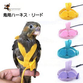 楽天市場 リード 鳥用品 ペット ペットグッズ の通販