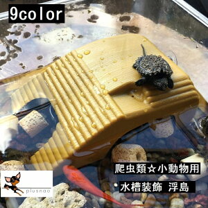 亀 水槽 水槽用レイアウト用品の人気商品 通販 価格比較 価格 Com 亀 水槽 水槽用レイアウト用品の人気商品 通販 価格比較 価格 Com