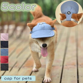 楽天市場 犬 サンバイザーの通販