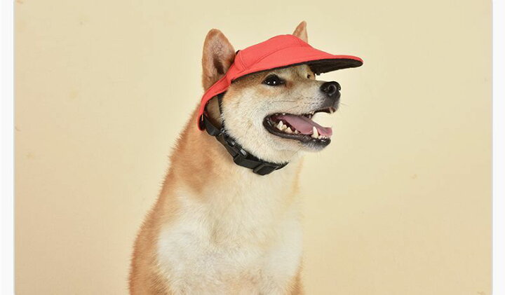 市場 犬用 春夏 ペット用品 ドッグハット おしゃれ 帽子 ペットグッズ 日除け 犬服 キャップ 熱中症対策