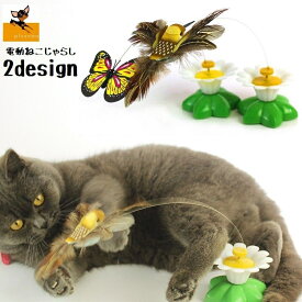 楽天市場 猫じゃらし 花の通販