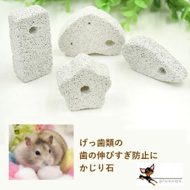 楽天市場 チンチラ かじり石 ペット ペットグッズ の通販 楽天市場 チンチラ かじり石 ペット ペットグッズ の通販
