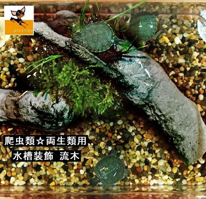 楽天市場 送料無料 水槽装飾 ペット用品 ペット用 流木 浮島 小動物 カメの浮き島 プラットフォーム 樹脂 亀 カエル トカゲ 爬虫類 両生類 形状おまかせ タートル 水槽 フィッシュタンク装飾 日なたごっこ台 水亀用 飼育用品 枯れ木 水槽レイアウト Plus Nao