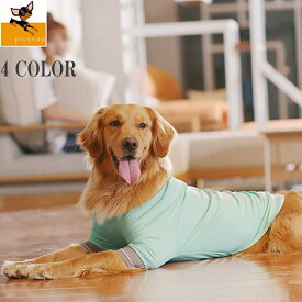 楽天市場 大型犬 夏服の通販