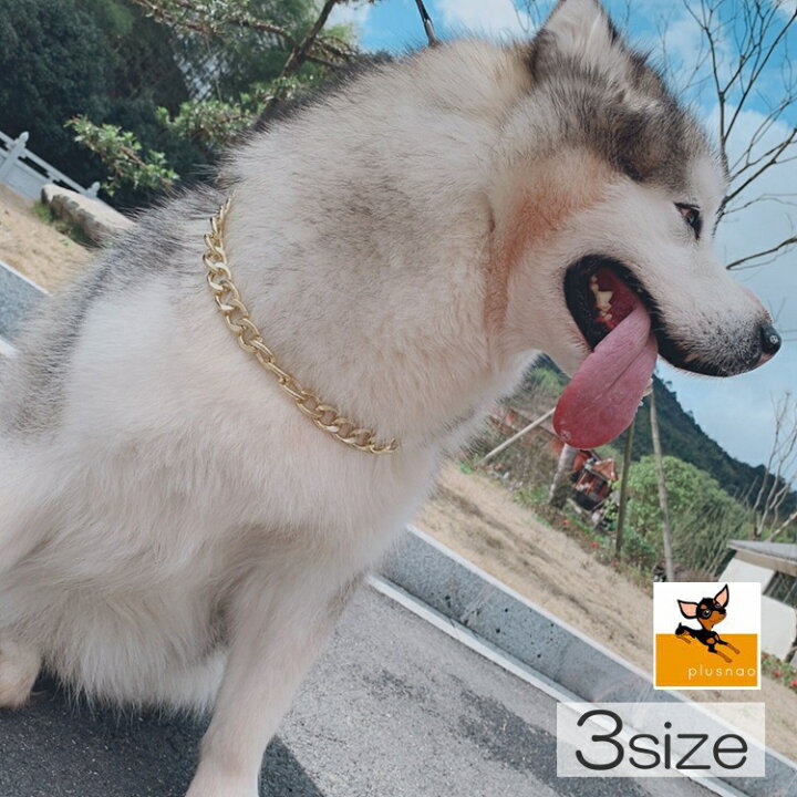 楽天市場 送料無料 犬用ネックレス 犬用アクセサリー 首輪 チェーン 喜平チェーン ゴールドカラー アクセサリー 小物 犬用 ペット 鎖 小型犬 中型犬 大型犬 サイズ調整 太め 大きめ フック おしゃれ ゴージャス 重厚感 シンプル ラグジュアリー 光沢 ペット Plus Nao