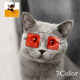 楽天市場 ゴーグル クリアレンズ 犬用品 ペット ペットグッズ の通販