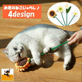 楽天市場 猫じゃらし 花の通販