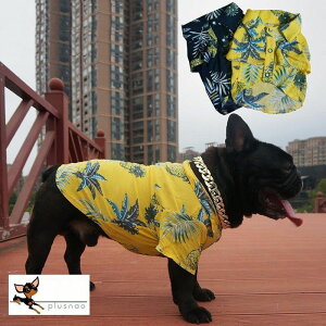 犬用ペット服 アロハシャツ パイナップルの人気商品 通販 価格比較 価格 Com 犬用ペット服 アロハシャツ パイナップルの人気商品 通販 価格比較 価格 Com