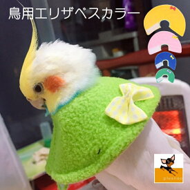 楽天市場 ピンク インコの通販