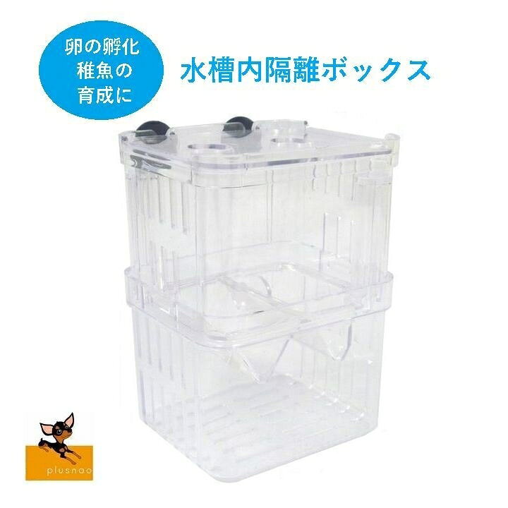 楽天市場 送料無料 繁殖隔離ボックス 繁殖ボックス 孵化ボックス 水槽内ケース 隔離用ケース 水槽用隔離用品 インキュベーターボックス ケース 魚 赤ちゃん 孵化 稚魚 育成 隔離 保護 透明 クリア 自己浮動式 プラスチック製 フローティング ブリーダー 二層式 Plus Nao