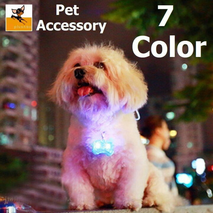 楽天市場 送料無料 ペット用アクセサリー 首輪アクセサリー Ledライト 光る 犬 ドッグ ペット用品 散歩 夜 骨 ボーン ブルー レッド グリーン ピンク オレンジ レインボー Plus Nao