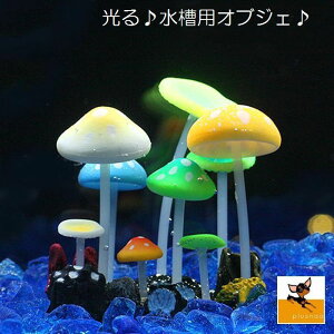 アクア 花 水槽用レイアウト用品の人気商品 通販 価格比較 価格 Com