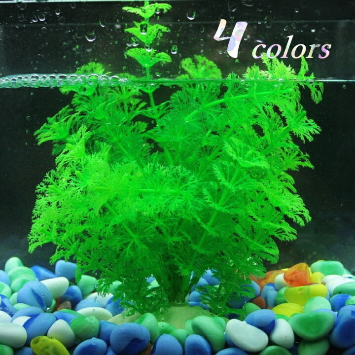楽天市場 送料無料 水槽用アクセサリー 人工水草 人工プランツ フェイク 熱帯魚 観賞魚 金魚 アクアリウム アクアリウム用品 水槽用アクセ 水槽用 飾り かざり レイアウト用品 水槽装飾 水槽装飾グリーン Plus Nao