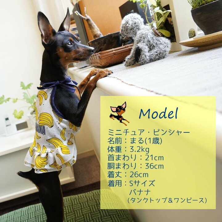楽天市場】送料無料 ペット服 タンクトップ ワンピース ドッグウエア キャットウエア 犬 猫 小型犬 メッシュ 薄手 透け感 プリント 柄 ペット用品 お散歩 お出掛け 春 夏 フリル キャミワンピ フルーツ バナナ パイン イチゴ ミルク : Plus Nao 楽天市場】送料無料 ペット服 タンクトップ ワンピース ドッグウエア キャットウエア 犬 猫 小型犬 メッシュ 薄手 透け感 プリント 柄 ペット用品 お散歩 お出掛け 春 夏 フリル キャミワンピ フルーツ バナナ パイン イチゴ ミルク : Plus Nao
