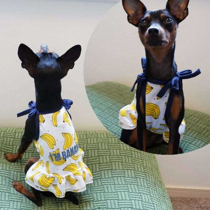 楽天市場】送料無料 ペット服 タンクトップ ワンピース ドッグウエア キャットウエア 犬 猫 小型犬 メッシュ 薄手 透け感 プリント 柄 ペット用品 お散歩 お出掛け 春 夏 フリル キャミワンピ フルーツ バナナ パイン イチゴ ミルク : Plus Nao 楽天市場】送料無料 ペット服 タンクトップ ワンピース ドッグウエア キャットウエア 犬 猫 小型犬 メッシュ 薄手 透け感 プリント 柄 ペット用品 お散歩 お出掛け 春 夏 フリル キャミワンピ フルーツ バナナ パイン イチゴ ミルク : Plus Nao