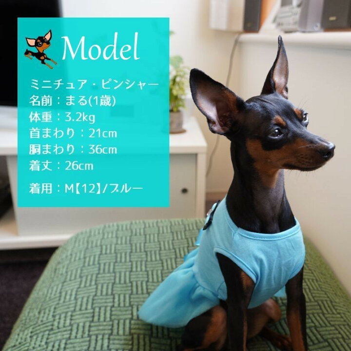 楽天市場 送料無料 ペット服 ワンピース ドッグウエア キャットウエア チュールワンピ ノースリーブ ドレス 犬 猫 おめかし 記念日 コスプレ お出掛け リボン 赤 ピンク 黄 青 袖なし 薄手 春 夏 ペット用品 Plus Nao