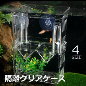 楽天市場 熱帯魚 繁殖隔離の通販