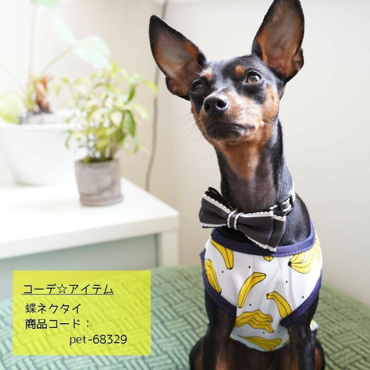 楽天市場】送料無料 ペット服 タンクトップ ワンピース ドッグウエア キャットウエア 犬 猫 小型犬 メッシュ 薄手 透け感 プリント 柄 ペット用品 お散歩 お出掛け 春 夏 フリル キャミワンピ フルーツ バナナ パイン イチゴ ミルク : Plus Nao 楽天市場】送料無料 ペット服 タンクトップ ワンピース ドッグウエア キャットウエア 犬 猫 小型犬 メッシュ 薄手 透け感 プリント 柄 ペット用品 お散歩 お出掛け 春 夏 フリル キャミワンピ フルーツ バナナ パイン イチゴ ミルク : Plus Nao