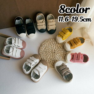  Xj[J[ JWAV[Y C qp LbY xr[ j̎q ̎q t@[XgV[Y }WbN e[v X|[eB[ JWA  킢  ig f